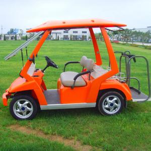 2 Seater Golf Cart 2