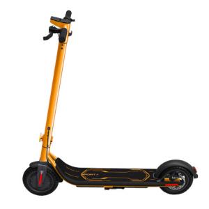 Electric Scooter 250w
