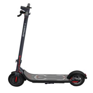 Electric Skate Scooter